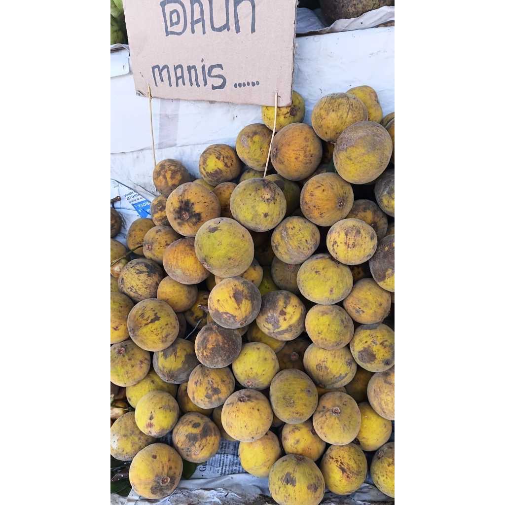 Buah Kecapi Segar 1kg – Kecapi Manis Asli Fresh Buah Musiman - Ready Stock Langsung diantar dari pas