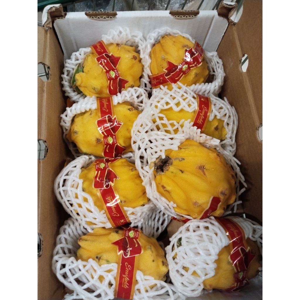 dragon fruits yellow 400gr buah naga kuning segar obat alami pencernaan