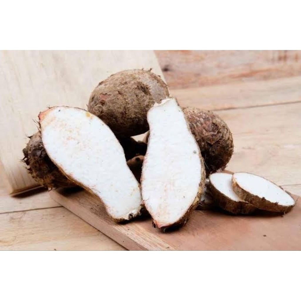 Promo COD Umbi talas ungu /talas kimpul pilihan berkualitas 1kg/Ubi Talas/Kimpul/Enhtik Segar 1 Kg F