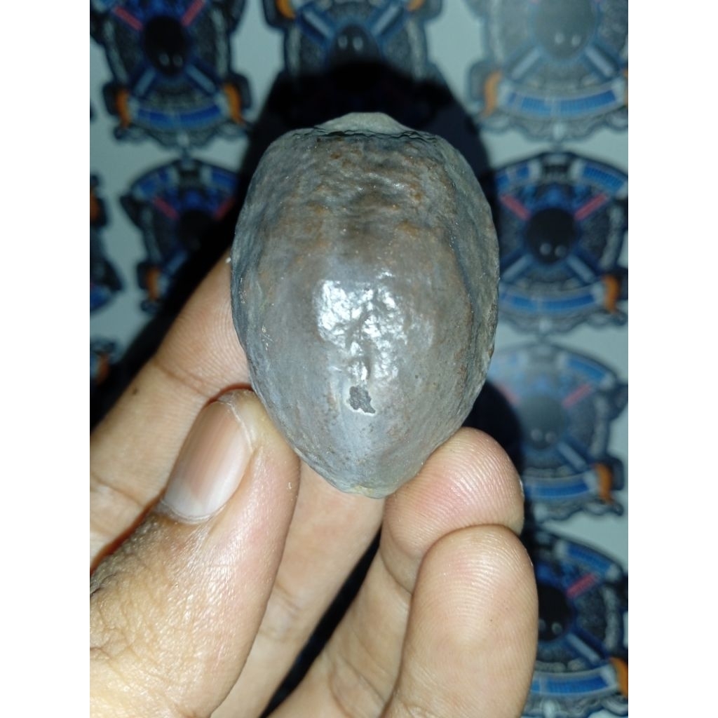 Muncang Adu Pedang Tower Size Jumbo original