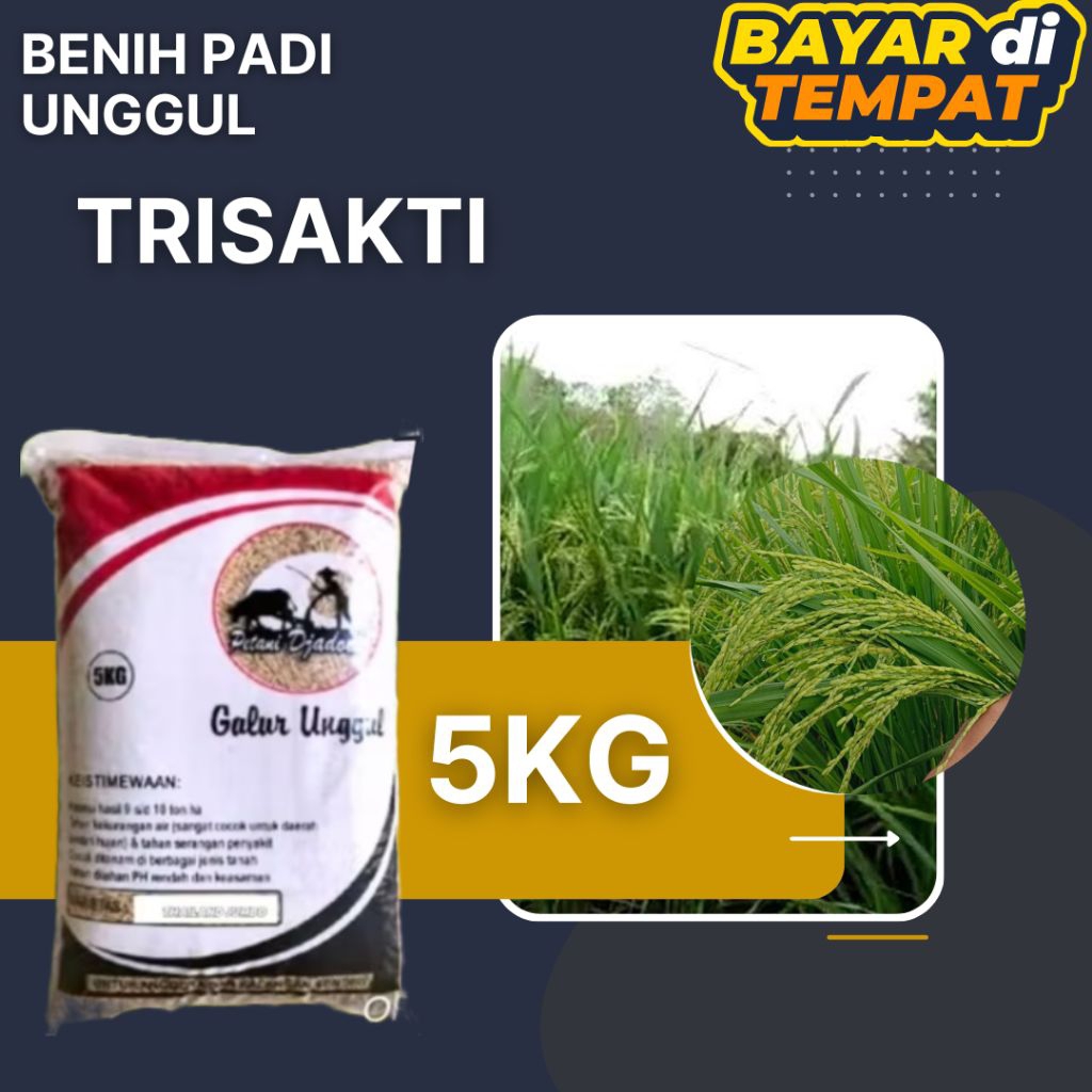 BENIH PADI TRISAKTI 5KG