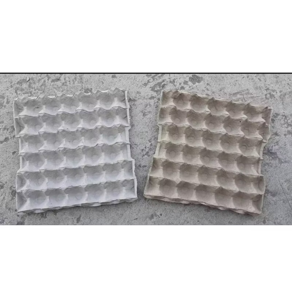 tray telur bekas