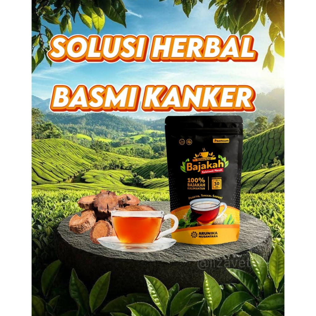 Teh Celup Kayu Akar bajakah asli kalimantan teh bajakah kalalawit merah isi 30