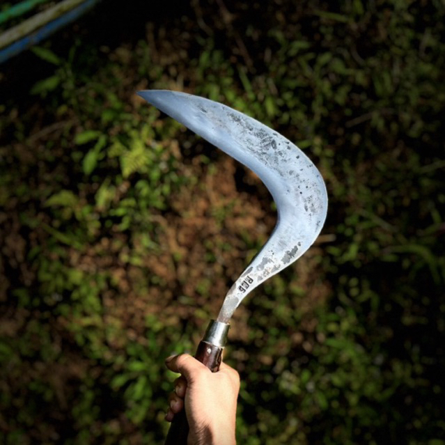 Arit Rumput Model Maduraan Original Baja Per | Perkakas Multifungsi Super Tajam