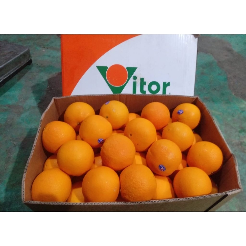 buah jeruk sunkist navel premium 1 kg / jeruk sunkist navel 1 kg