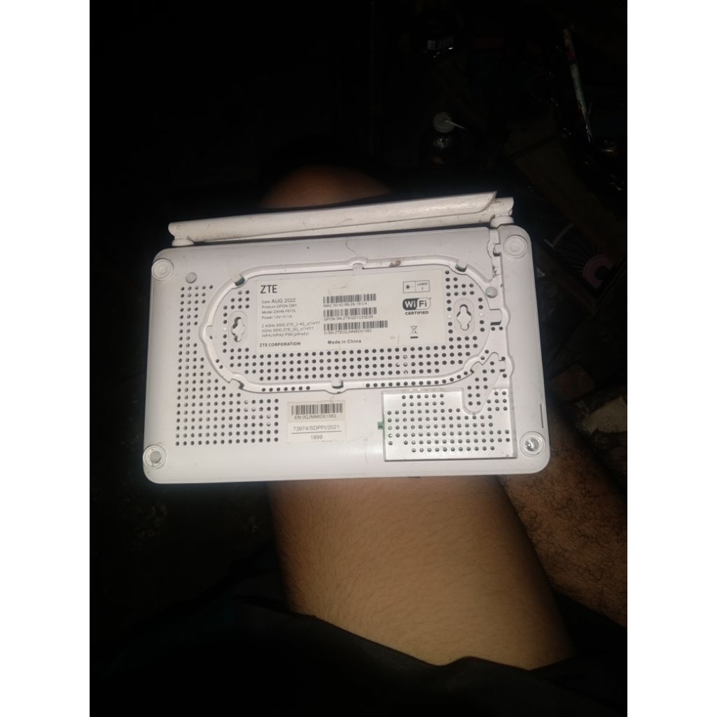 ayam Bangkok petarung Thailand imprort