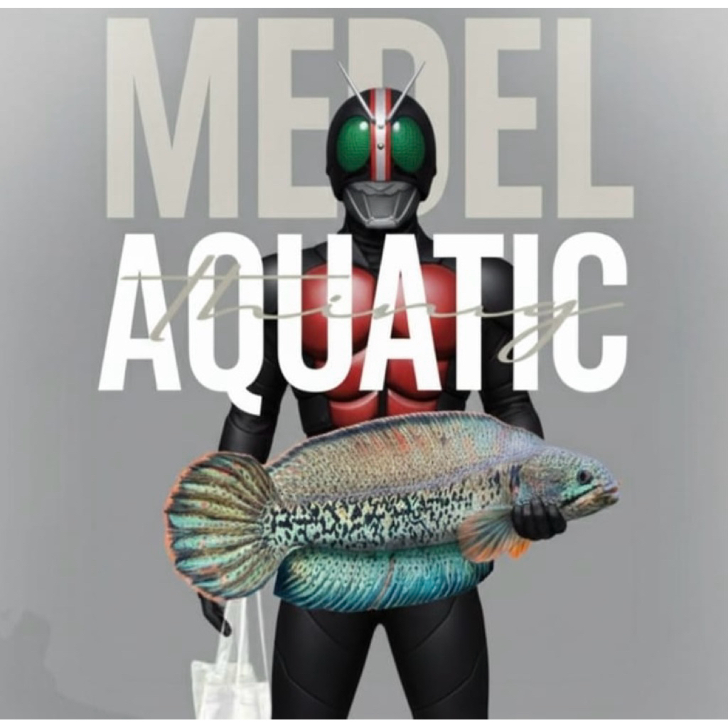 box chana SSB JOSJIS