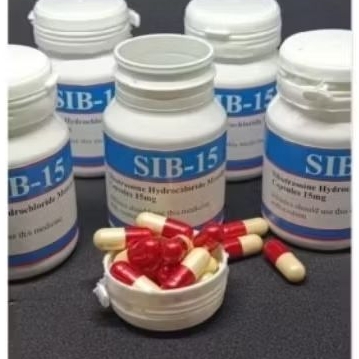 slim sib 15 diet tubuh langsing