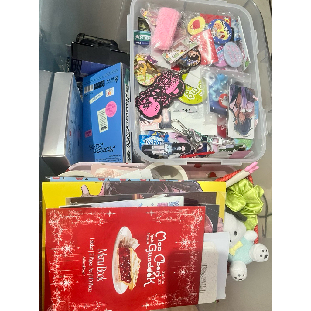 decluttering stuff keychain sticker pin photocard holder taesan gyuvin hanbin gunwook boynextdoor zb