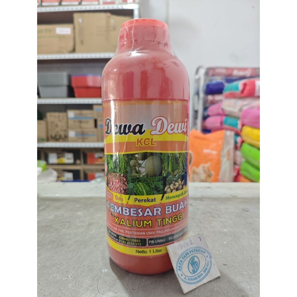 dewa dewi pupuk KCL cair pemuncul dan pembesar buah