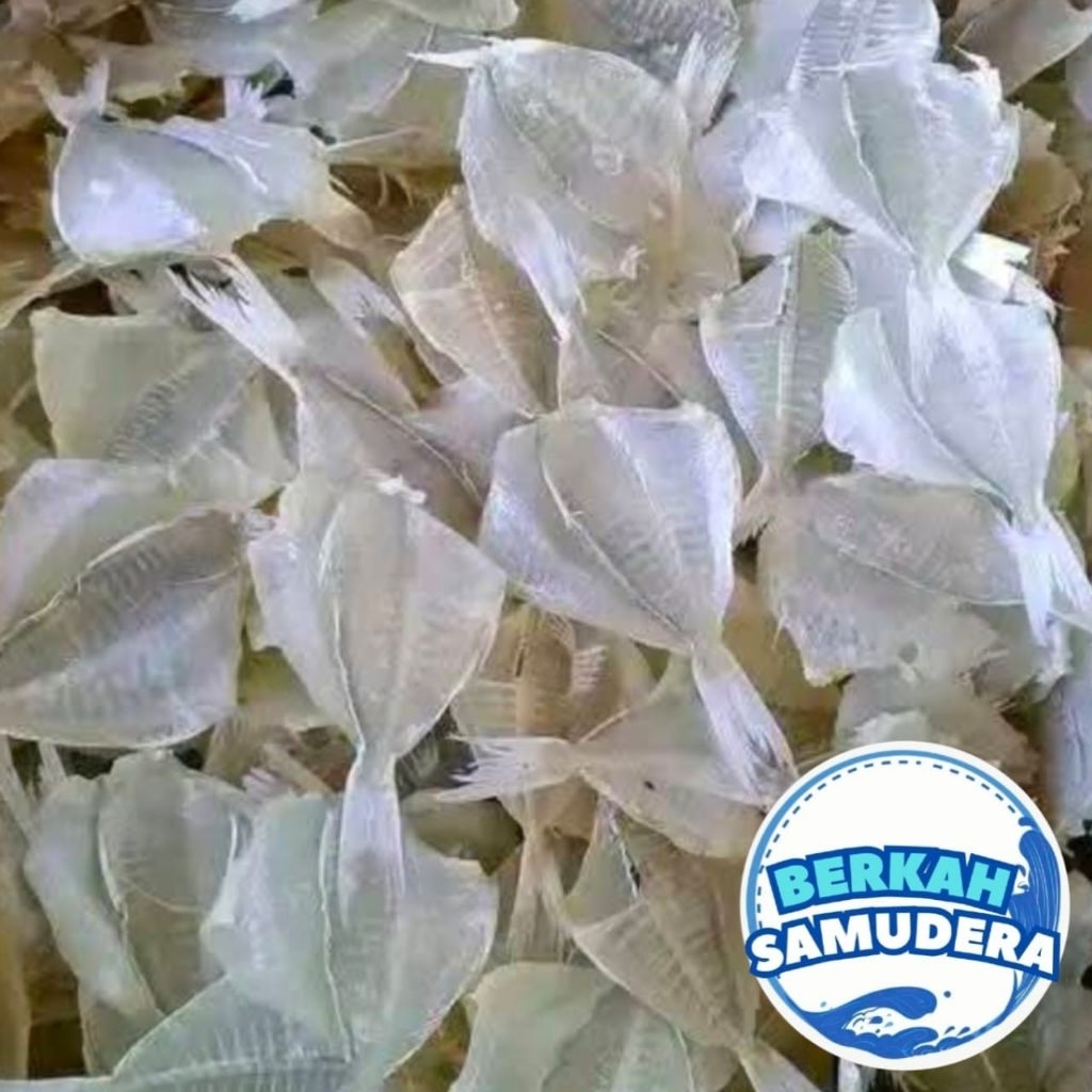 ikan asin kapasan asin