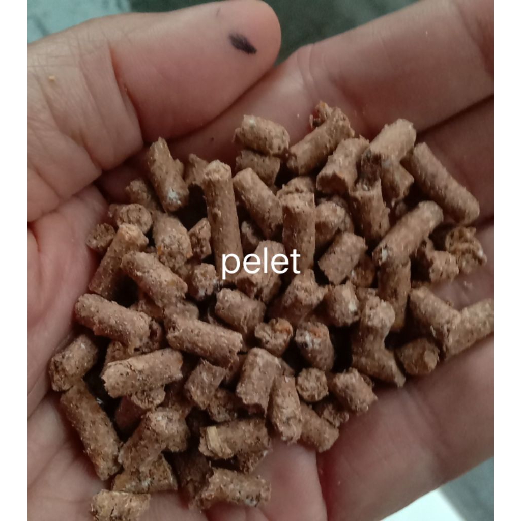 pelet kelinci, sapi, domba, pakan ternak