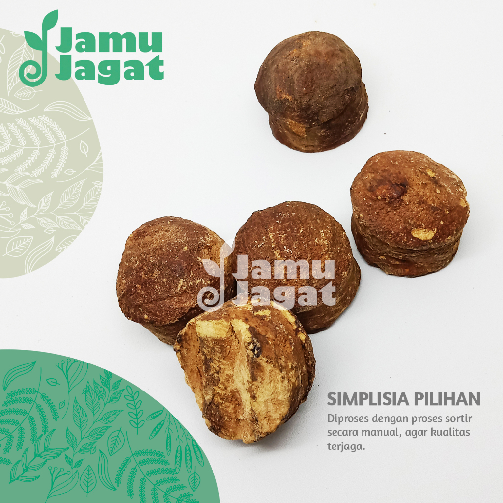 Getah Gambir 500gr Asli Grade A