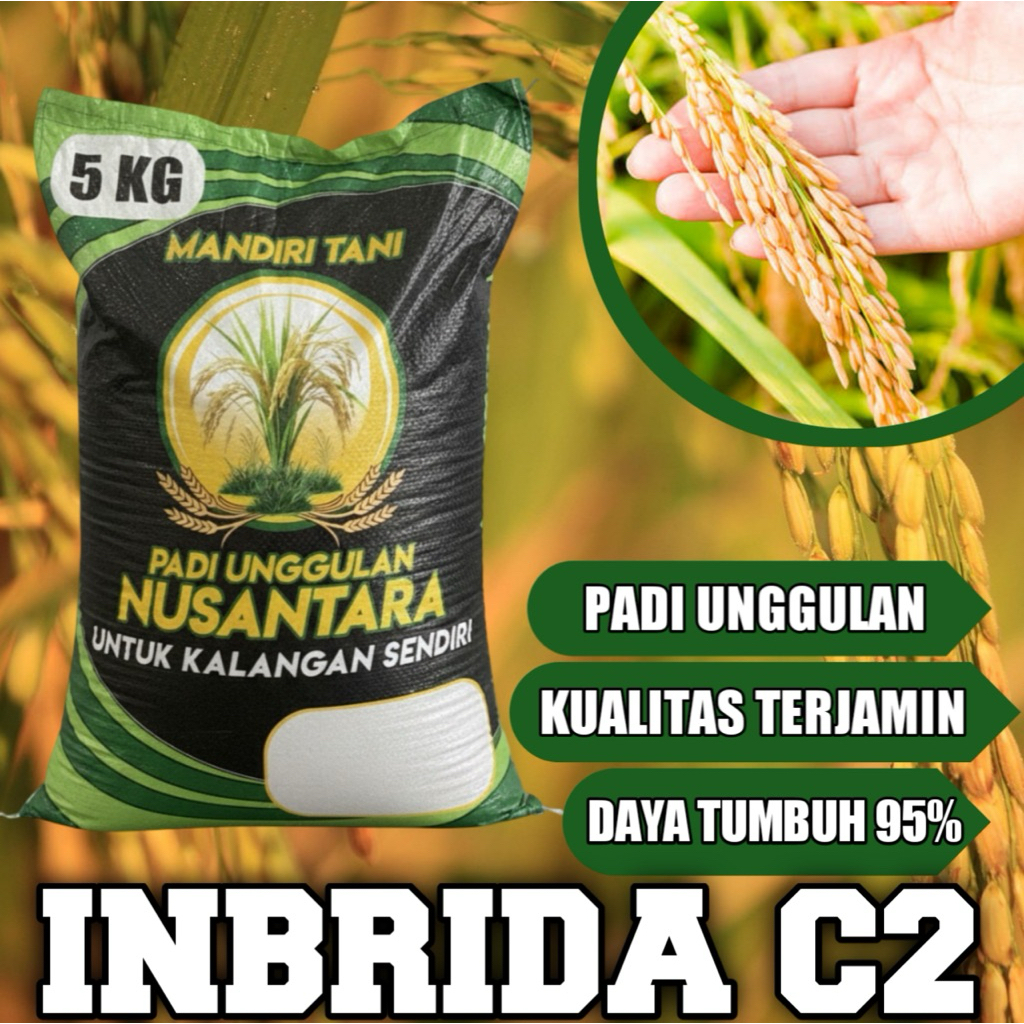 BIBIT/BENIH PADI INBRIDA C2,KEMASAN 5KG
