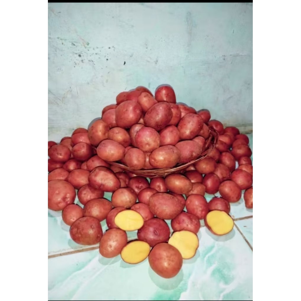 Kentang Merah dieng 1 KG