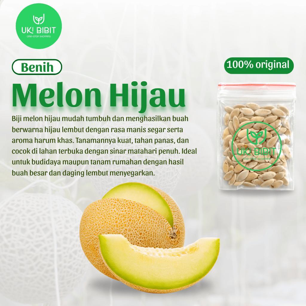 ( 10 Butir ) Benih Biji Melon Hijau | Melon Manis | Melon Musk