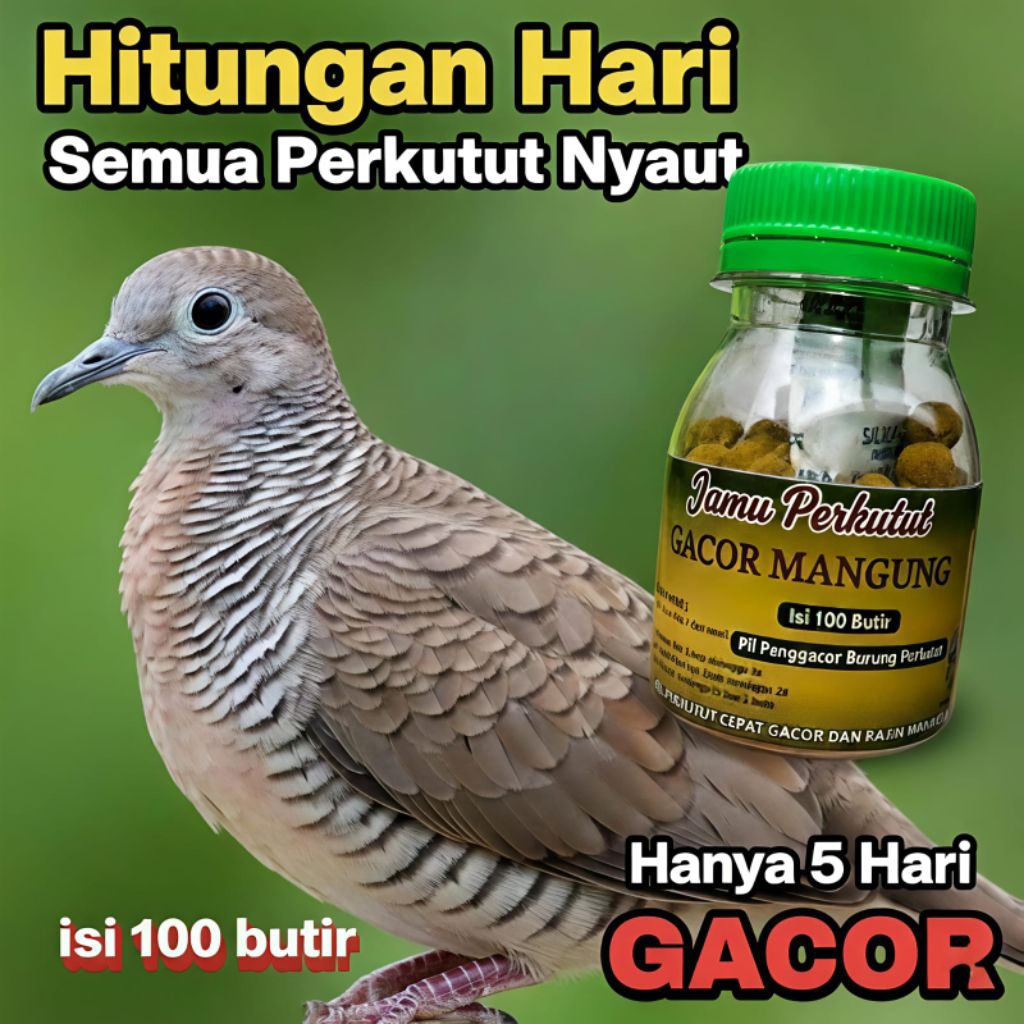 PIL GACOR MANGGUNG 100 Pil Jamu Tradisional Perkutut - Percepat Gacor, Kuatkan Suara, Tingkatkan Naf