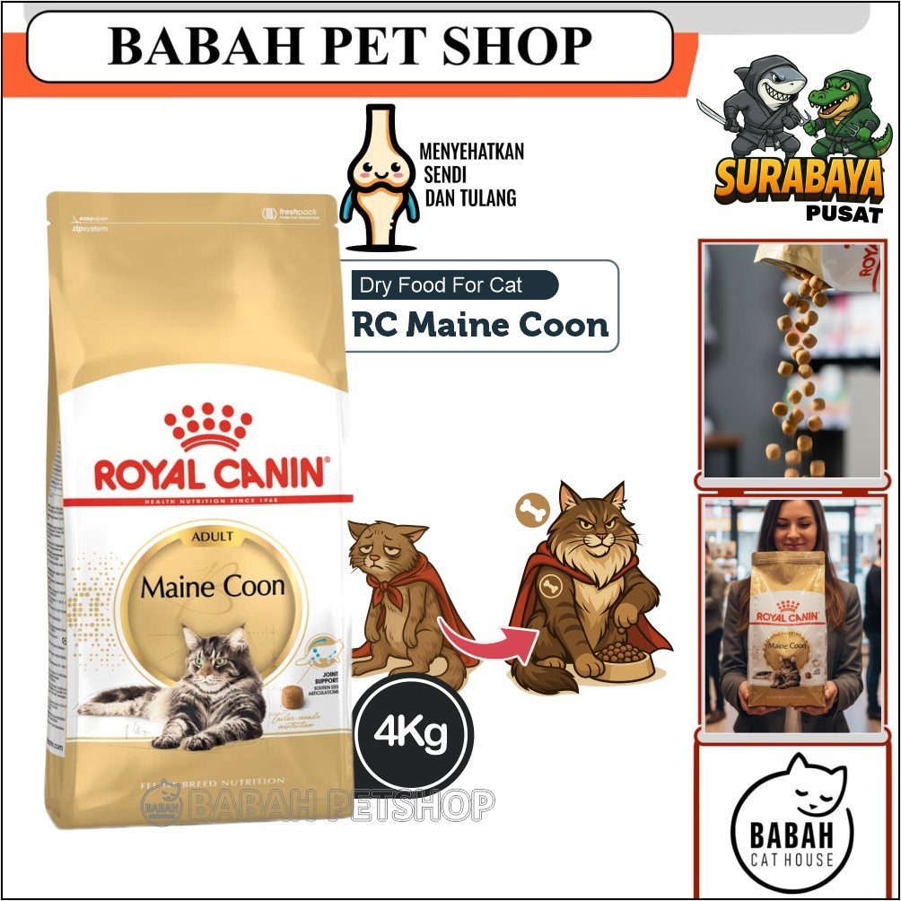 4kg ROYAL CANIN ADULT MAINECOON cat food makanan kucing rc main coon untuk dewasa ras besar bulu pan