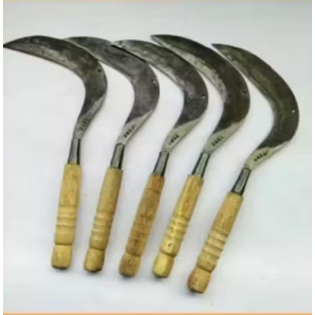 alat berkebun sabit cari rumput