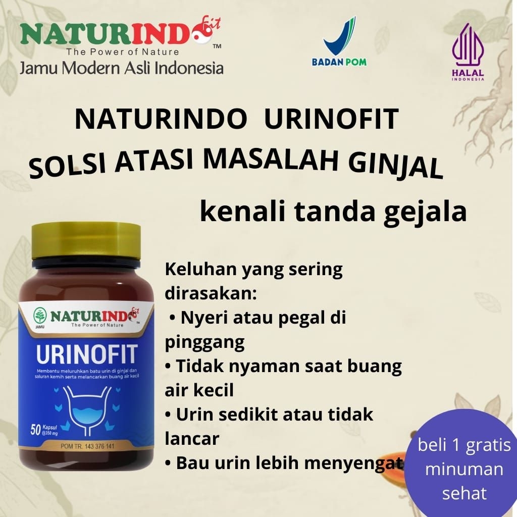 obat herbal ginjal URINOFIT | Herbal Saluran Kemih • Atasi Anyang-anyangan & Infeksi Kandung Kemih (