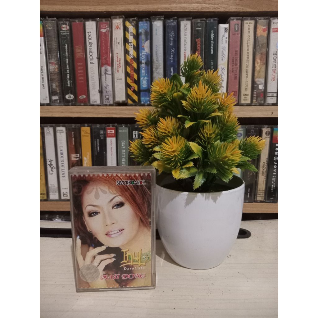 KASET INUL DARATISTA MAU DONG