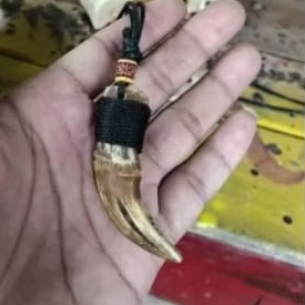 liontin taring kuku macan