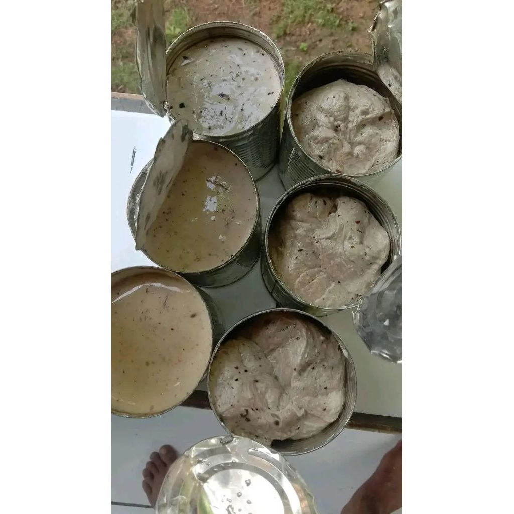 Getah bendo pulut burung 1 ons lebih