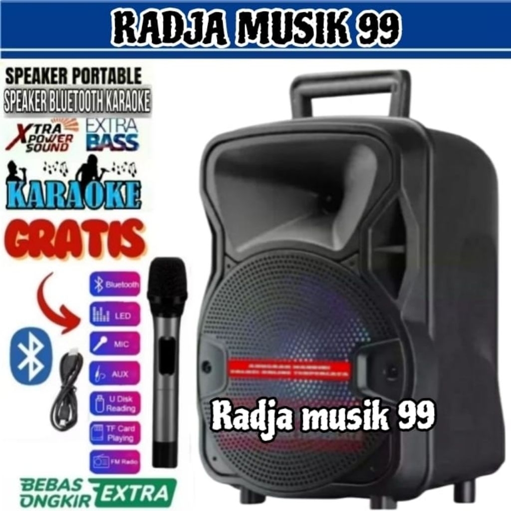 Speaker Karaoke Bluetooth Portable Full Bass Bonus Mic Ukuran Besar Salon Aktif Jumbo