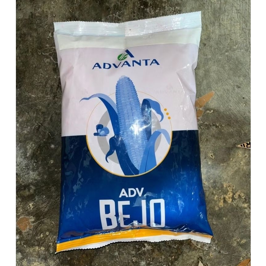 Benih Jagung Hibrida ADV BEJO - 1 kilogram