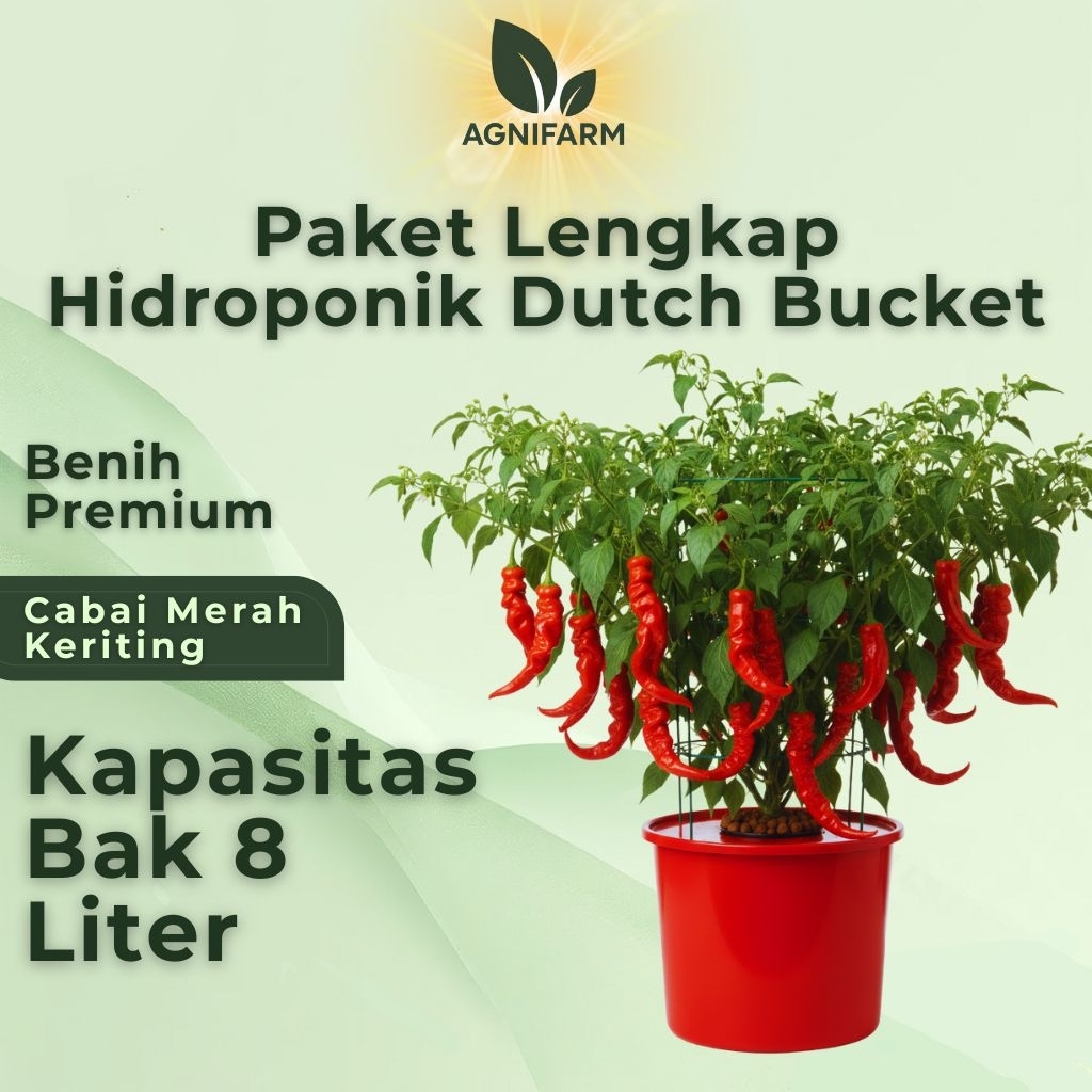 AgniFarm - Paket Hidroponik Sistem Dutch Bucket 8 Liter – Benih CABAI MERAH KERITING, Bak Dan Ember 