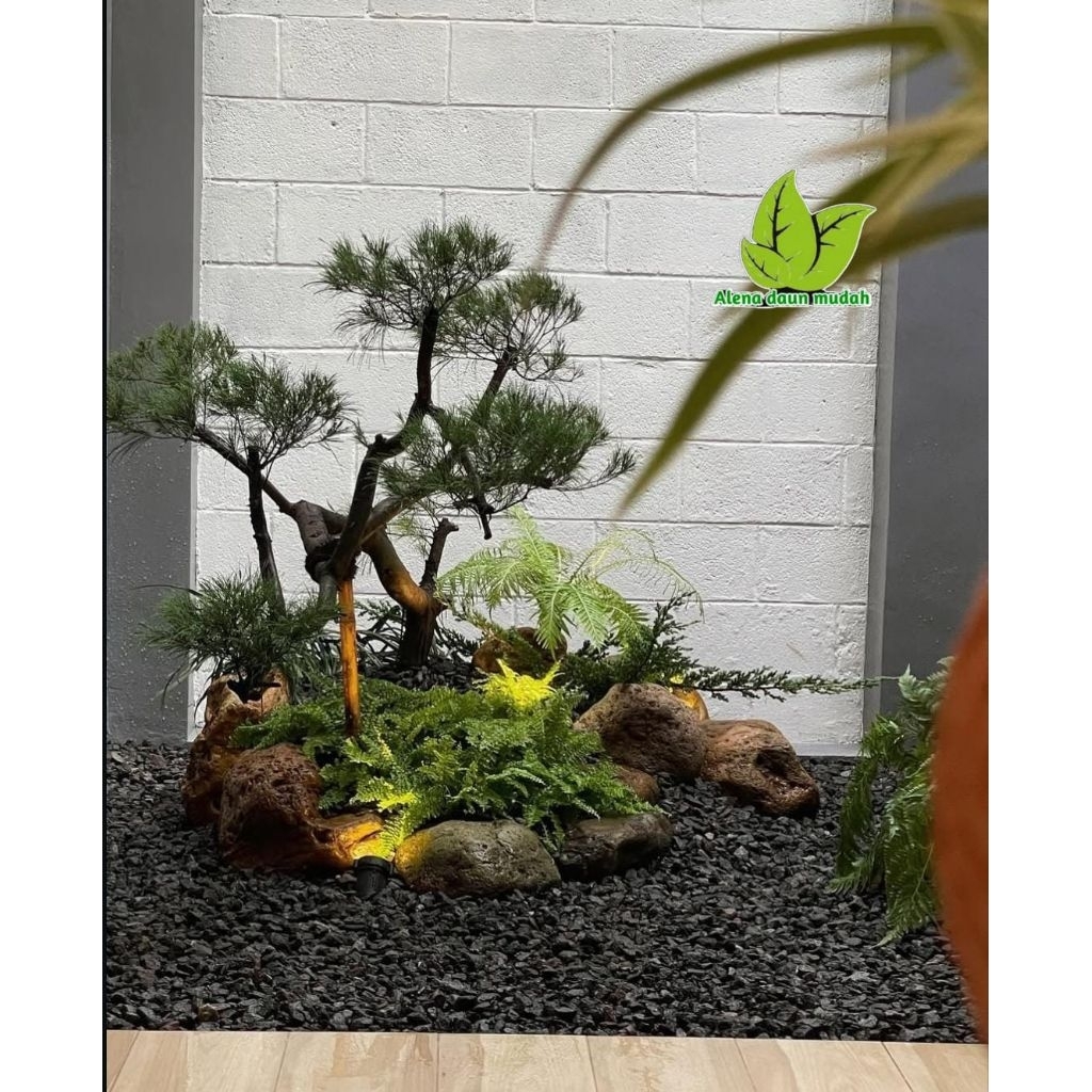 taman kering/taman batu koral/taman bonsai cemara udang/taman indoor