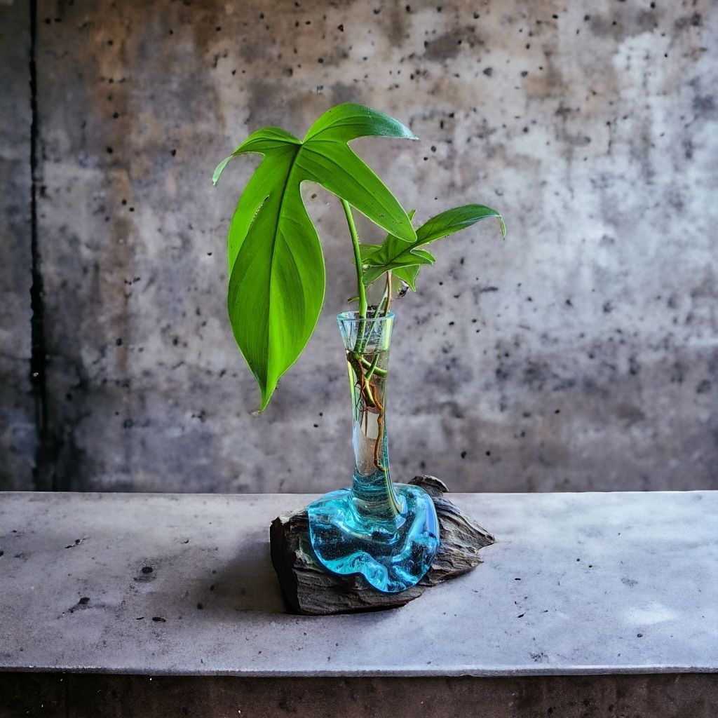Vas Bunga Kaca Tiup Handmade + Tatakan Kayu | Philodendron Florida Beauty