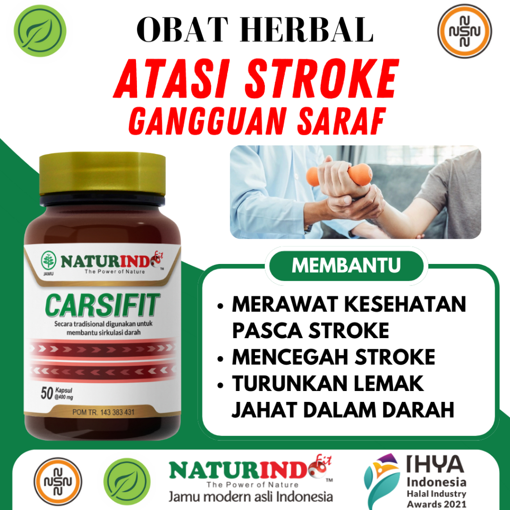 Obat Stroke Terapi Penyembuhan Stroke Ringan Berat Saraf Tubuh MatiRasa Penyumbatan Herbal NATURINDO