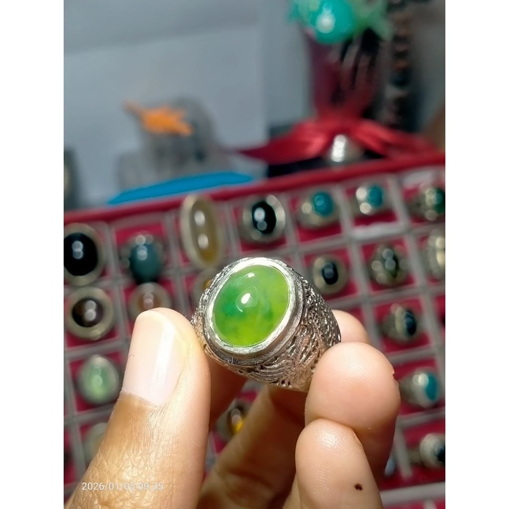 idocrase sungai dareh pucuk pisang lumut