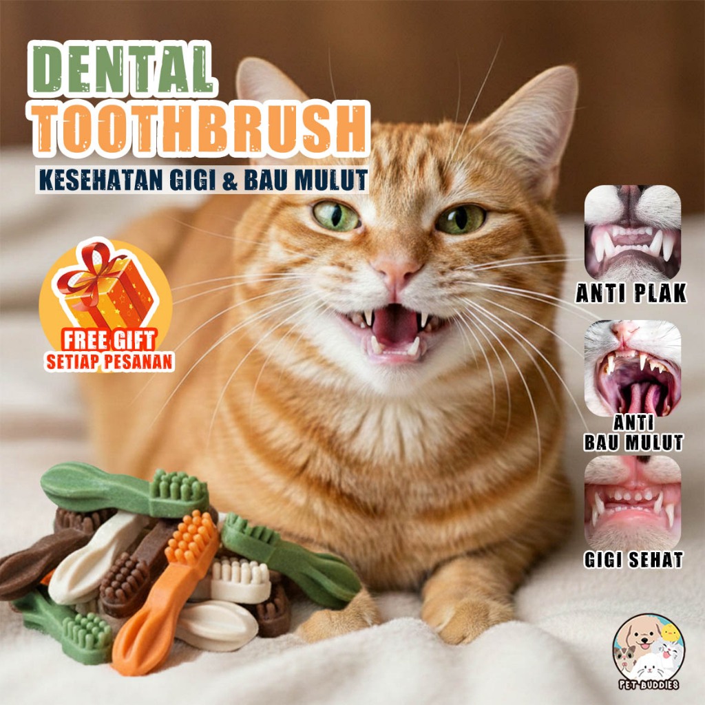 Snack Dental Kucing Bentuk Toothbrush | Camilan Gigitan Pembersih Gigi Tinggi Kalsium | Bau Mulut