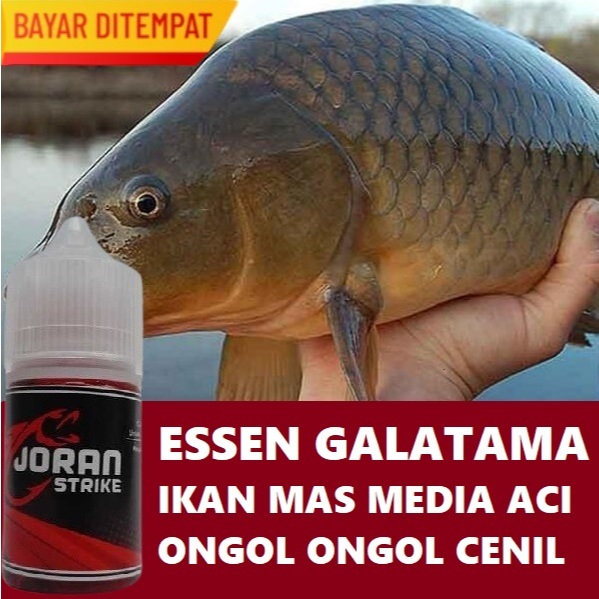 ESSEN GALATAMA IKAN MAS MEDIA ACI ONGOL ONGOL CENIL & LONTONGAN ISI 30ML
