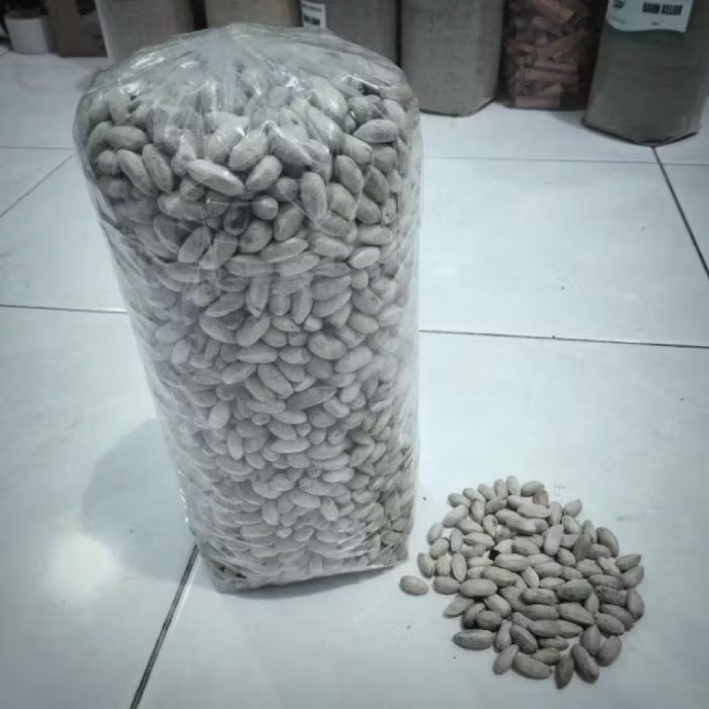 benih biji mimba / mindi 500gr