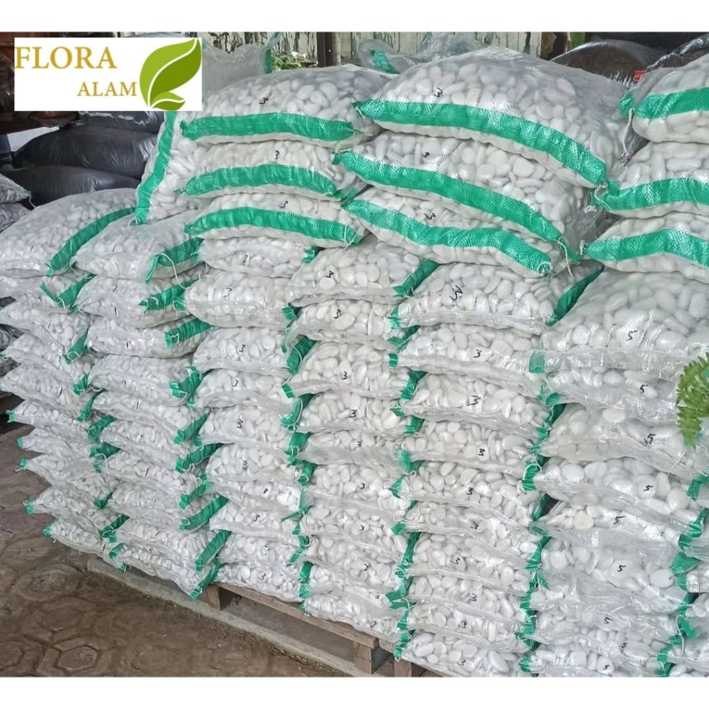 Batu Koral Putih / Batu Kupang Putih 10 Kg