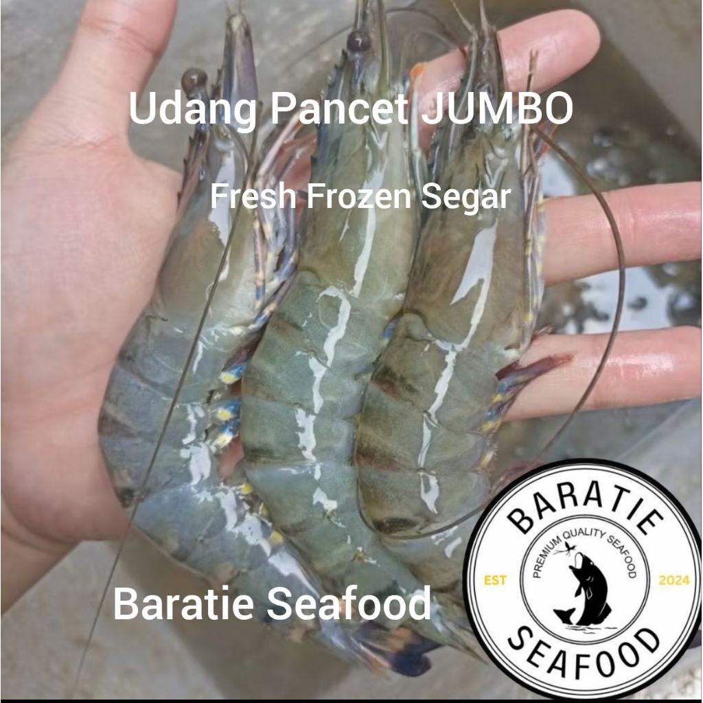 Udang Pancet Jumbo Fresh Frozen/ Tiger Shrimp/ Udang Windu (1 Kg)