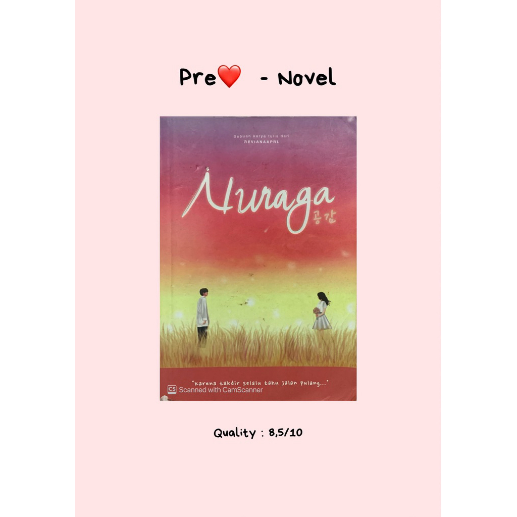 Novel Nuraga