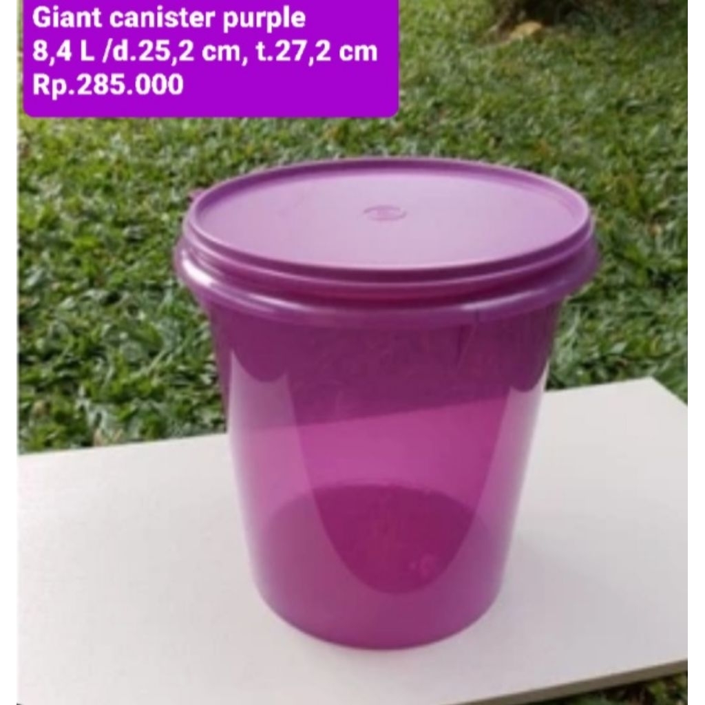Giant Canister 8,4L tupperware