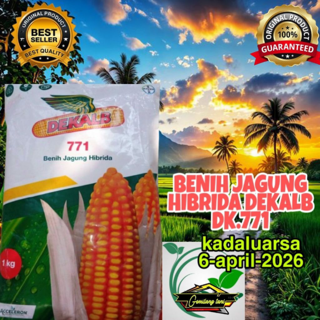 benih jagung DK.771/DEKALB.771 , benih hibrida unggulan berkualitas original