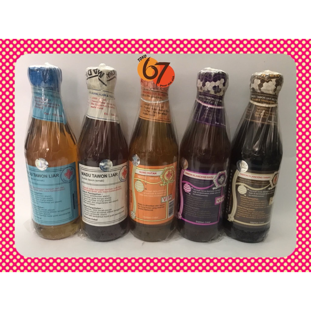 Madu Tawon Liar, Tawon Australia, Tawon Klanceng, Tawon Gung Asli VIP