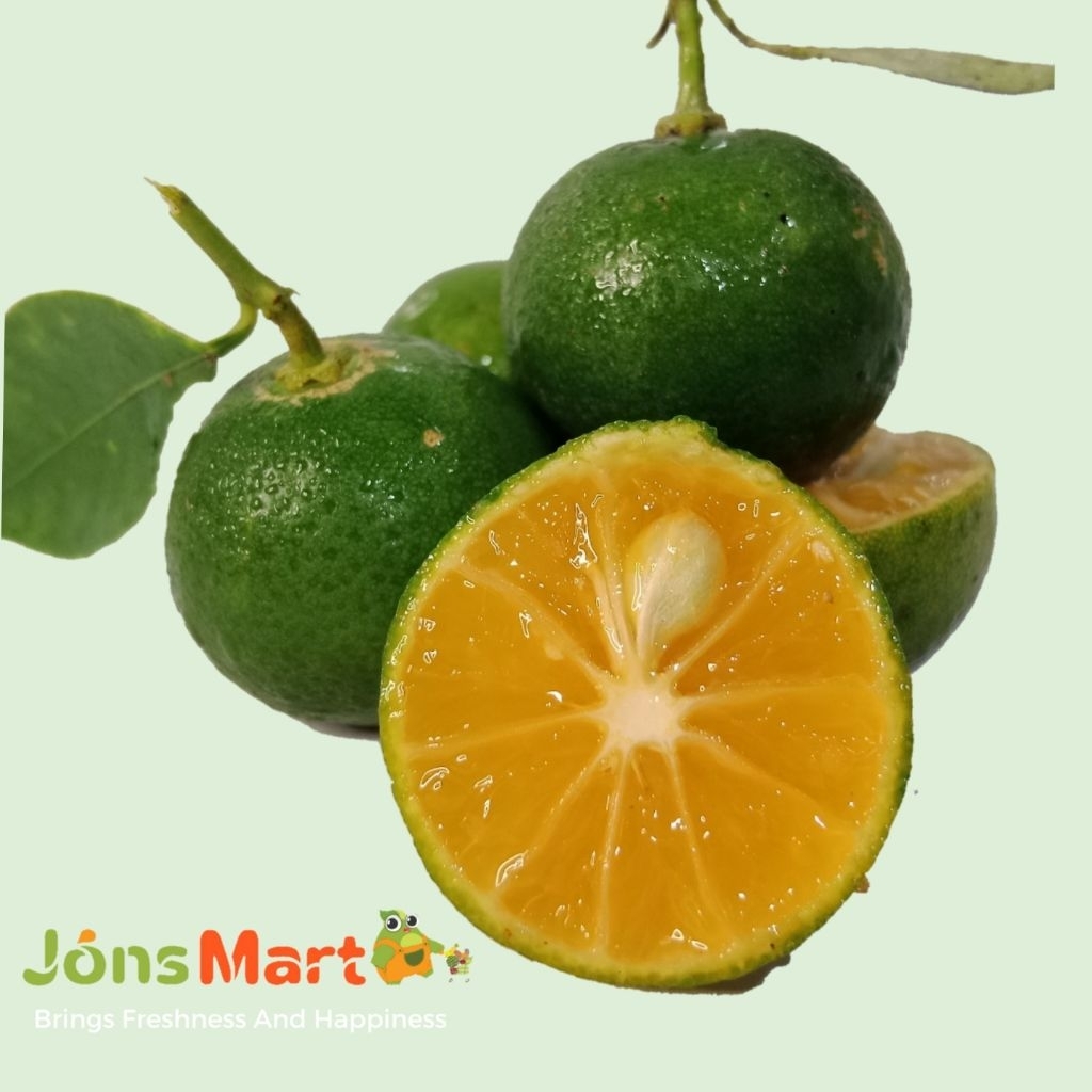 BUAH JERUK SONKIT/JERUK KUNCI / LEMON CUI / JERUK KIETNA