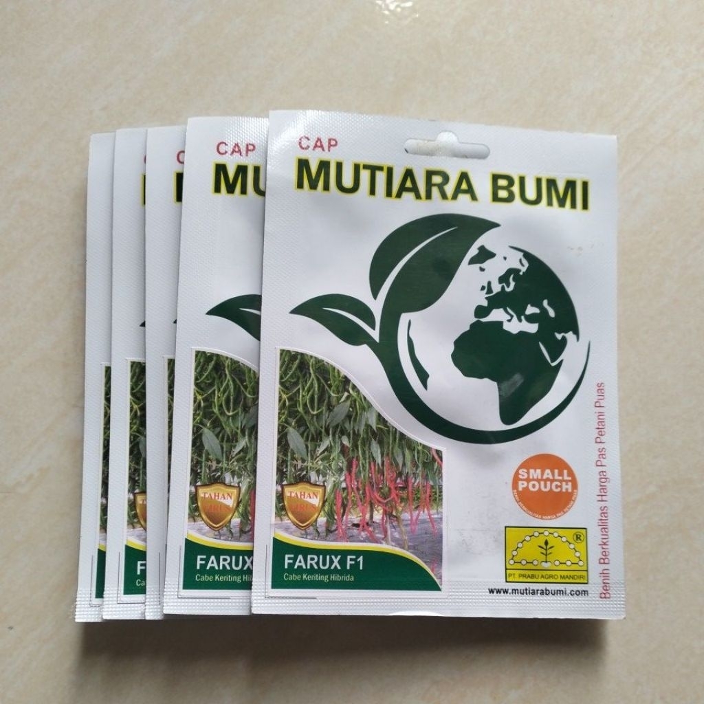 Bibit Farux F1 Cabe Keriting