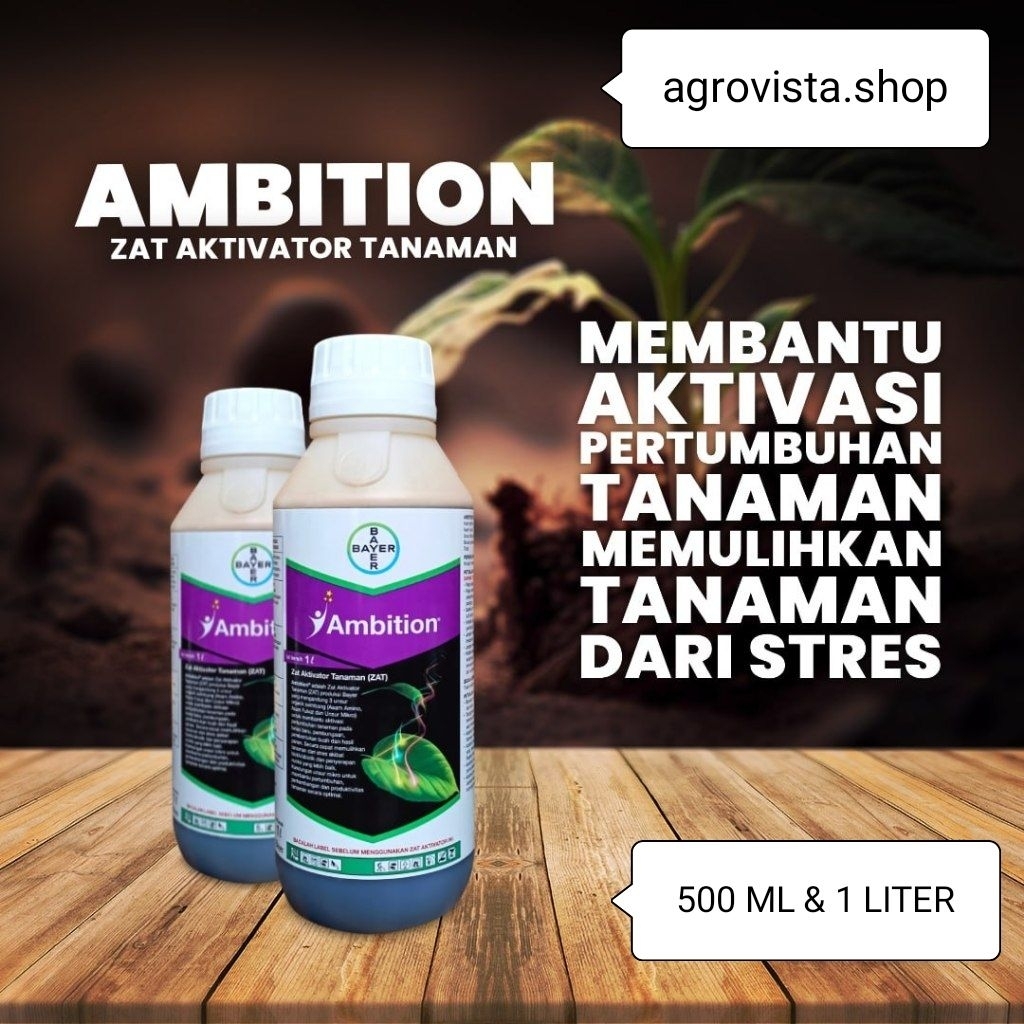 AMBITION Asam Amino PT. BAYER (500 ML)