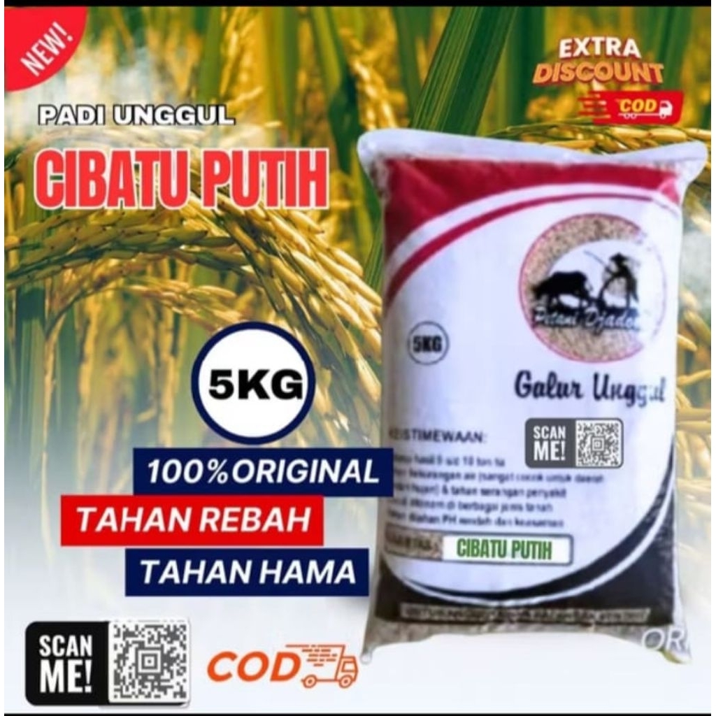 Benih padi unggul Cibatu putih original 5kg