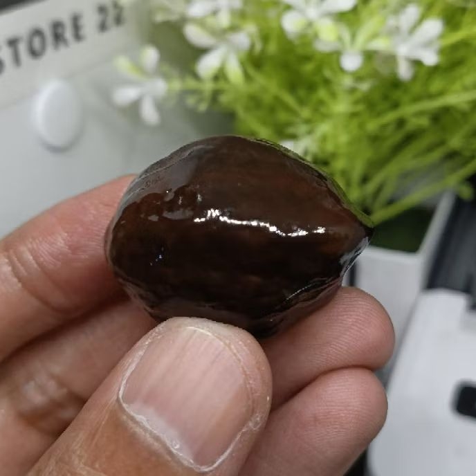 Muncang Adu Jalim kebo Jr kode A