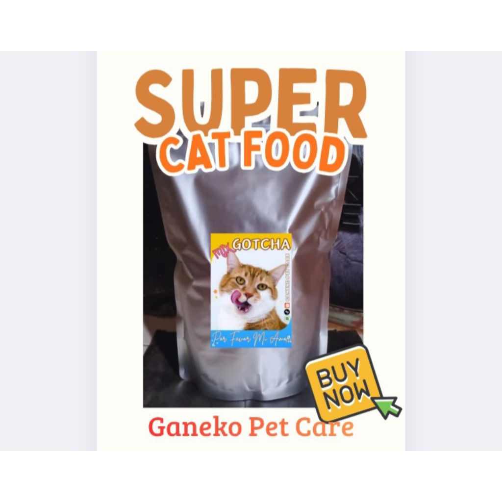 KIBBEL BESAR PAKAN MAKANAN KERING KUCING PENGGEMUK PERSIA ANGGORA MURAH LARIS REKOMENDASI RECOMENDED