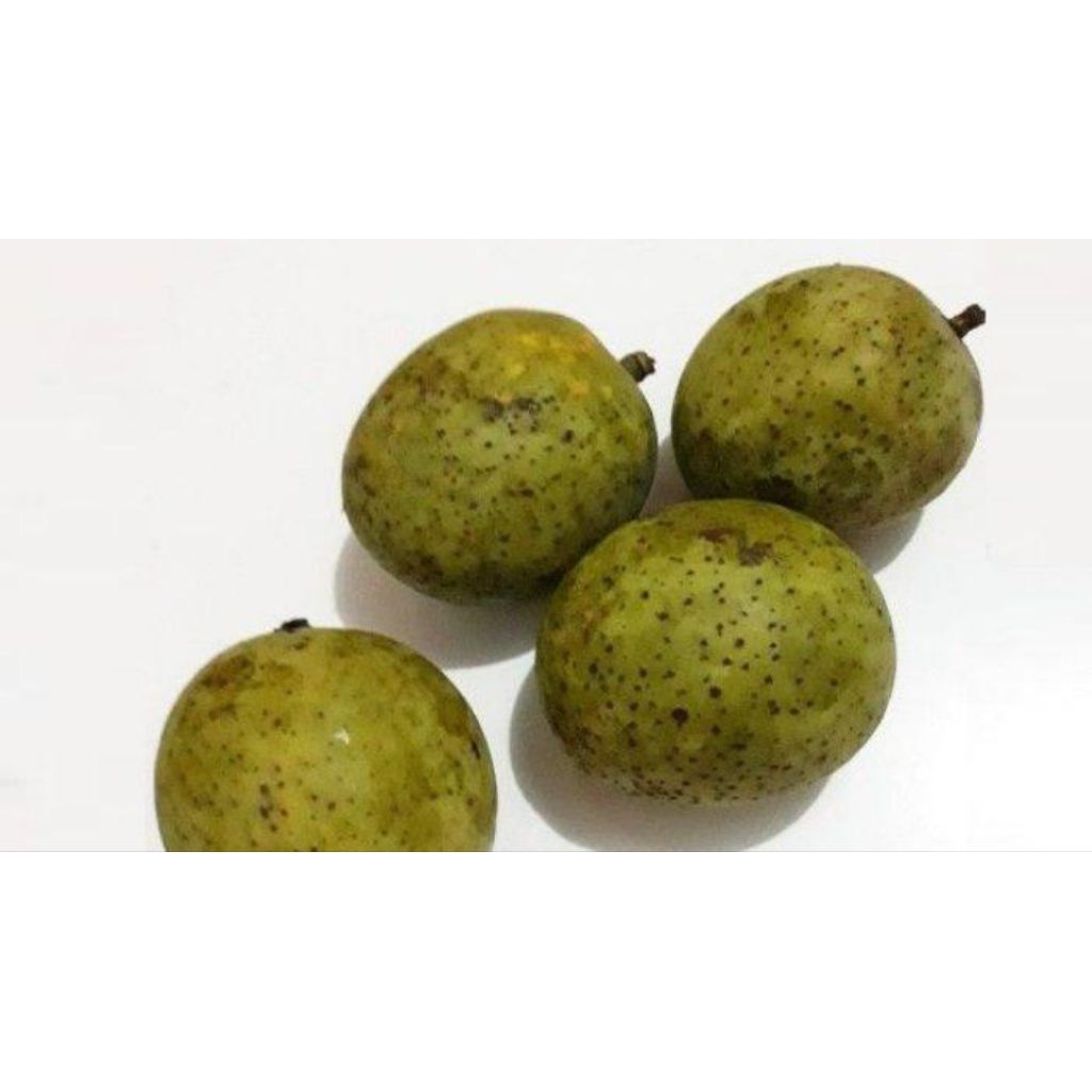buah pakel buah limus manis legit bisa cod